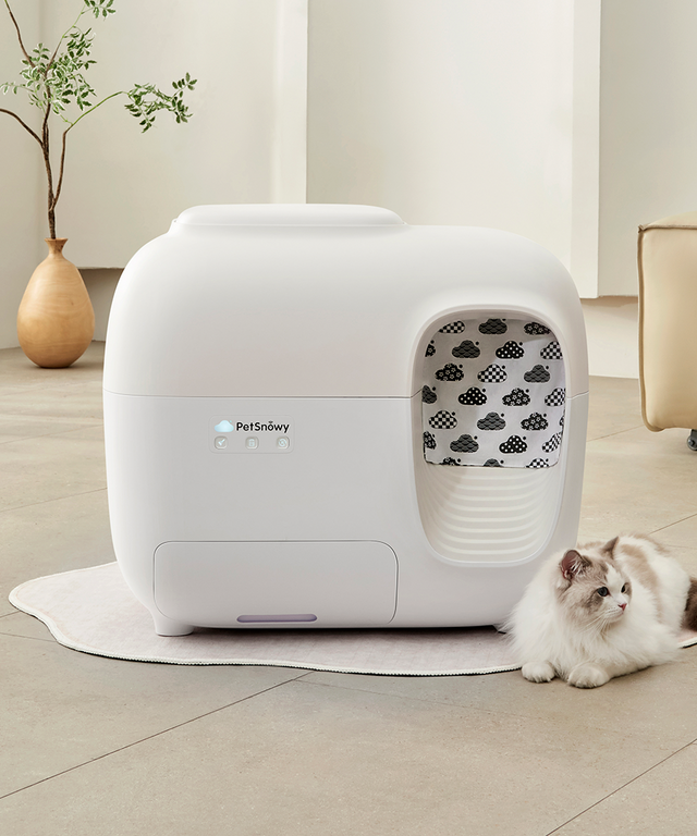 litterbox-classic-scene-2