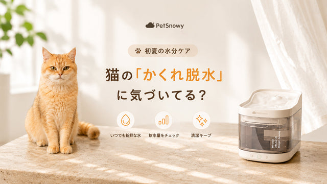 【猫は1日どれくらい水を飲む？】初夏の“かくれ脱水”に注意したい飲水ケア