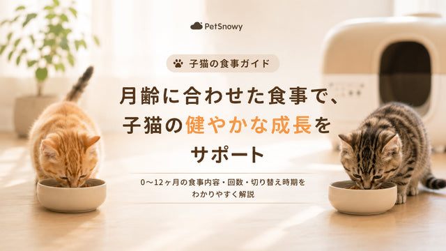子猫の食事完全ガイド｜月齢別の与え方・回数・注意点【0〜12ヶ月】