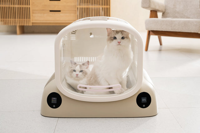 Tranquil Drying with PetSnowy’s SMILE Pet Dryer Box