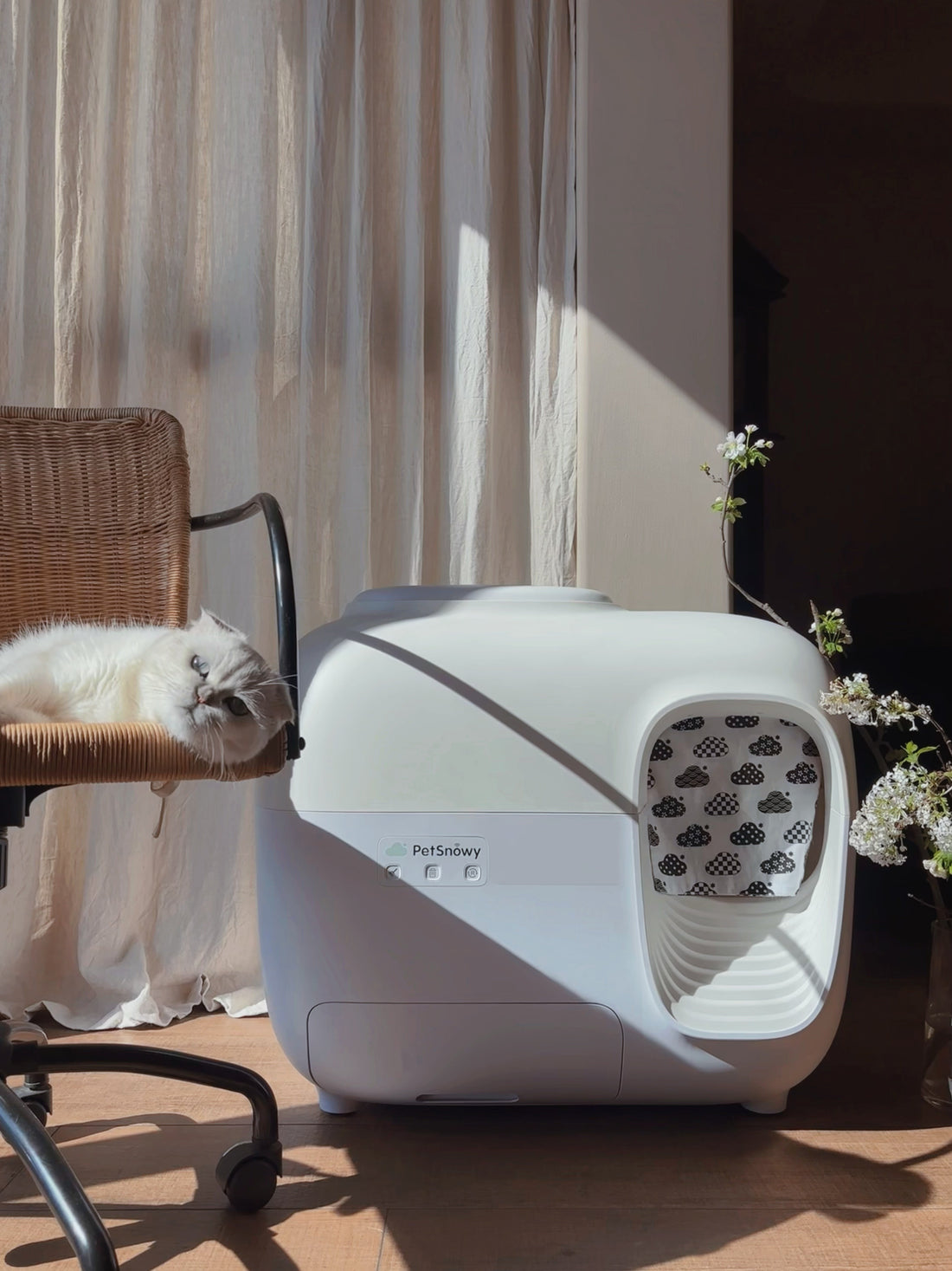 Cat lounging next to smart litter box