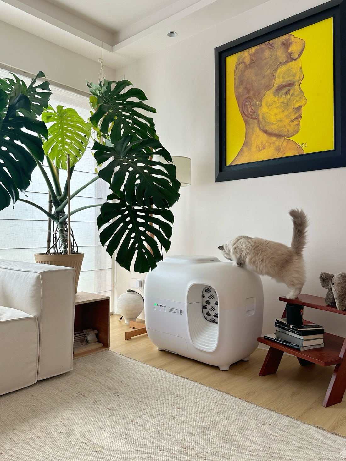 Cat exploring a PetSnowy Self-Cleaning Litter Box in a modern living room with natural light and minimalist decor