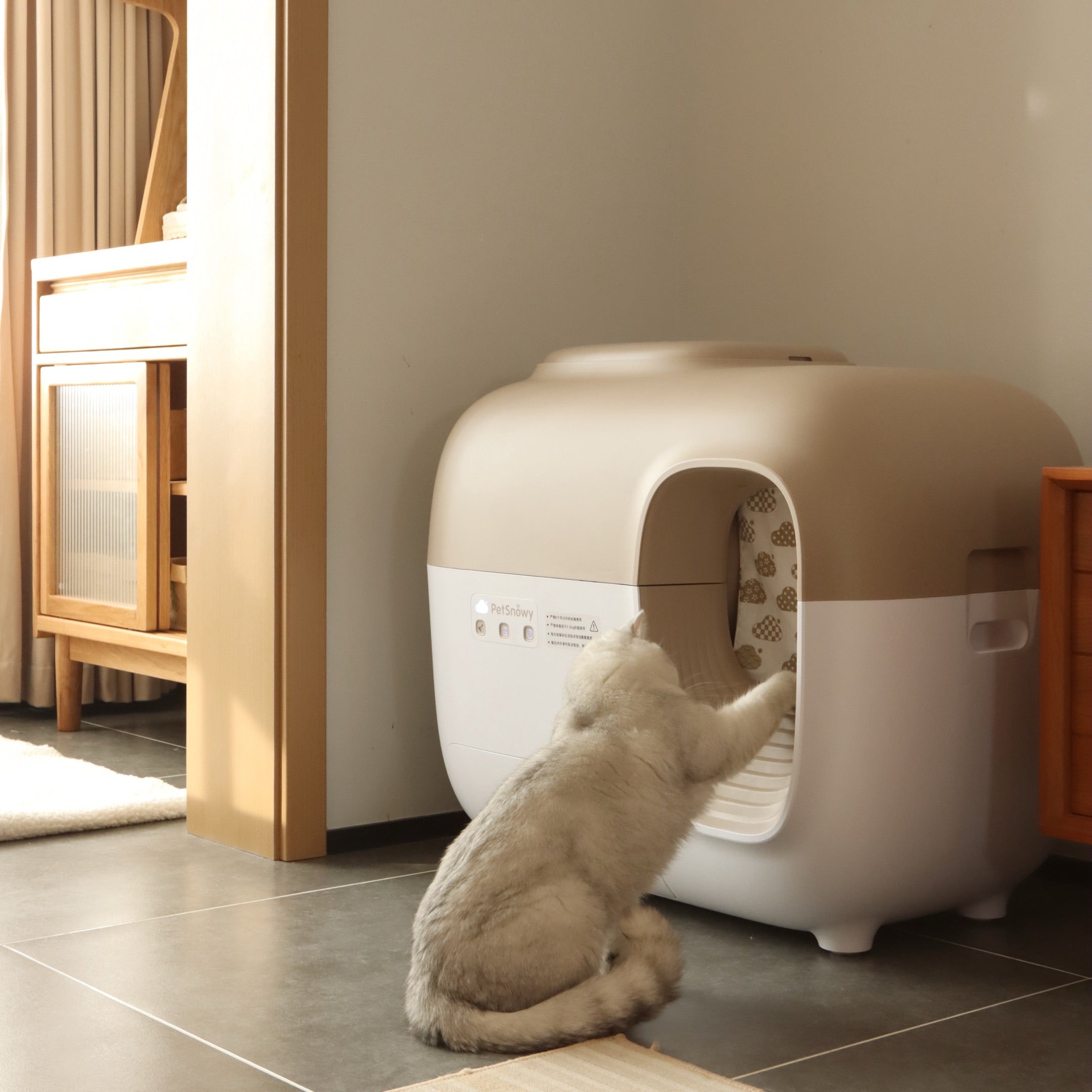 Filthy Cat Box How a Dirty Litter Box Affects Cat Health | Petsnowy โ PetSnowy