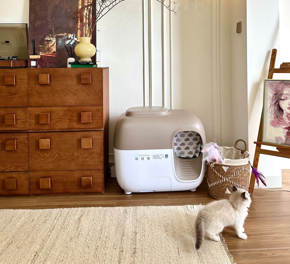 Cat Travel Planning - How Long Can They Stay Alone?