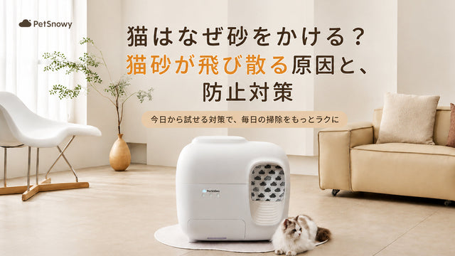 猫はなぜ砂をかける？猫砂が飛び散る原因と防止対策