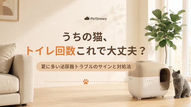 猫、1日に何回トイレに行くのが正常？夏に多い泌尿器トラブルの早期発見ガイド