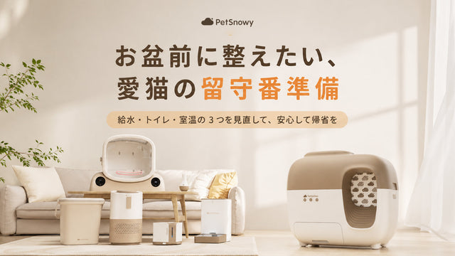 夏休み・お盆の帰省、愛猫のお留守番はどう準備する？