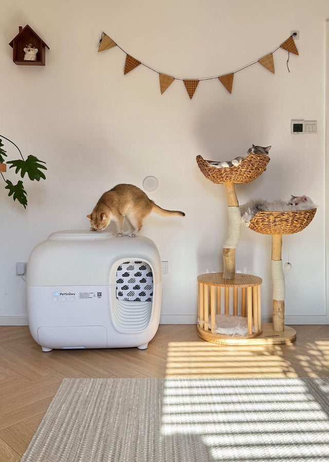 Why Does Cat Urine Smell So Strong, and How Can You Manage It?