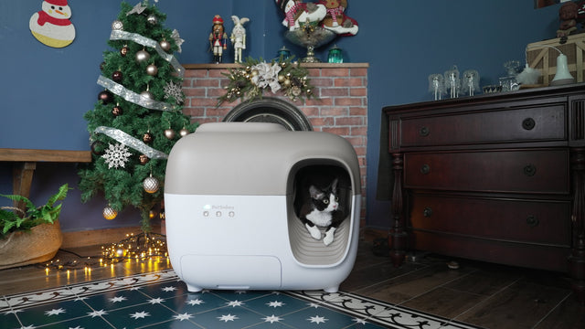 PetSnowy Featured on The Standard: Top Gift-Giving Brands to Shop at for Everyone on Your Christmas List