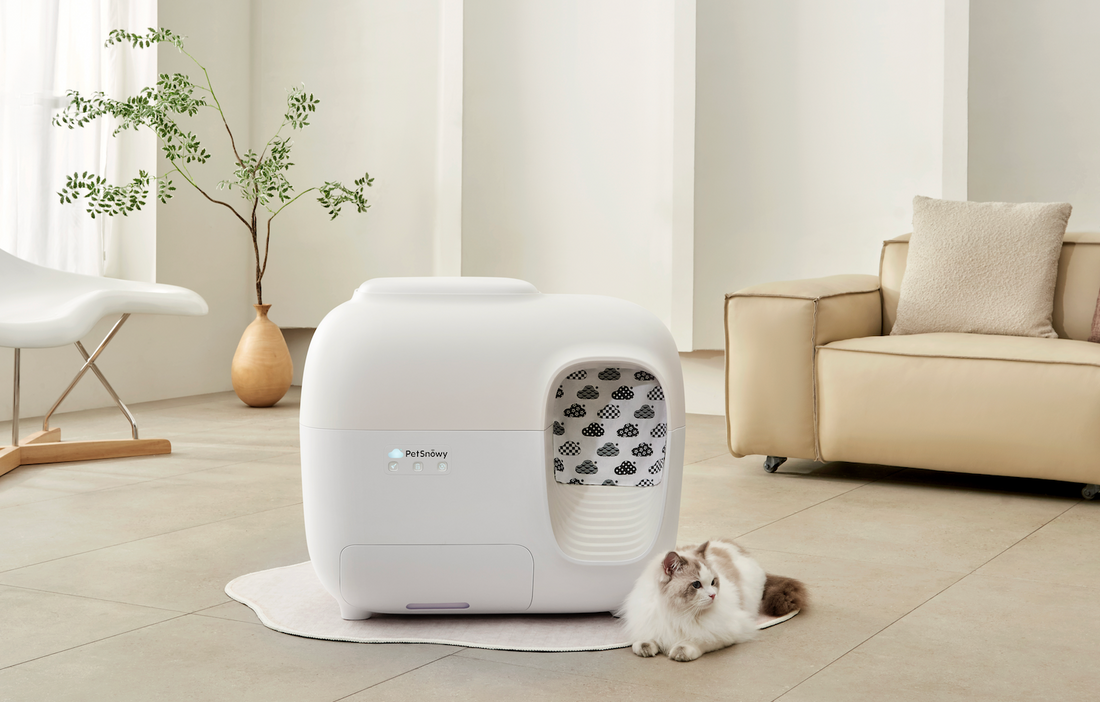 PetSnowy Featured on Petful: PetSnowy Litter Box Spotlight