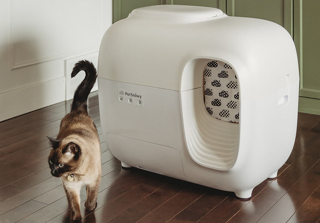 Cat Bonding Routines and Building Trust