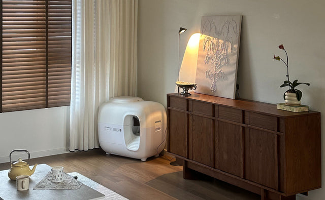 A tidy living room with a white PetSnowy litter box beside a wooden sideboard, soft lighting, and a tea set on a low table.