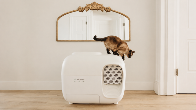 PetSnowy self-cleaning litter box in a clean summer cat home