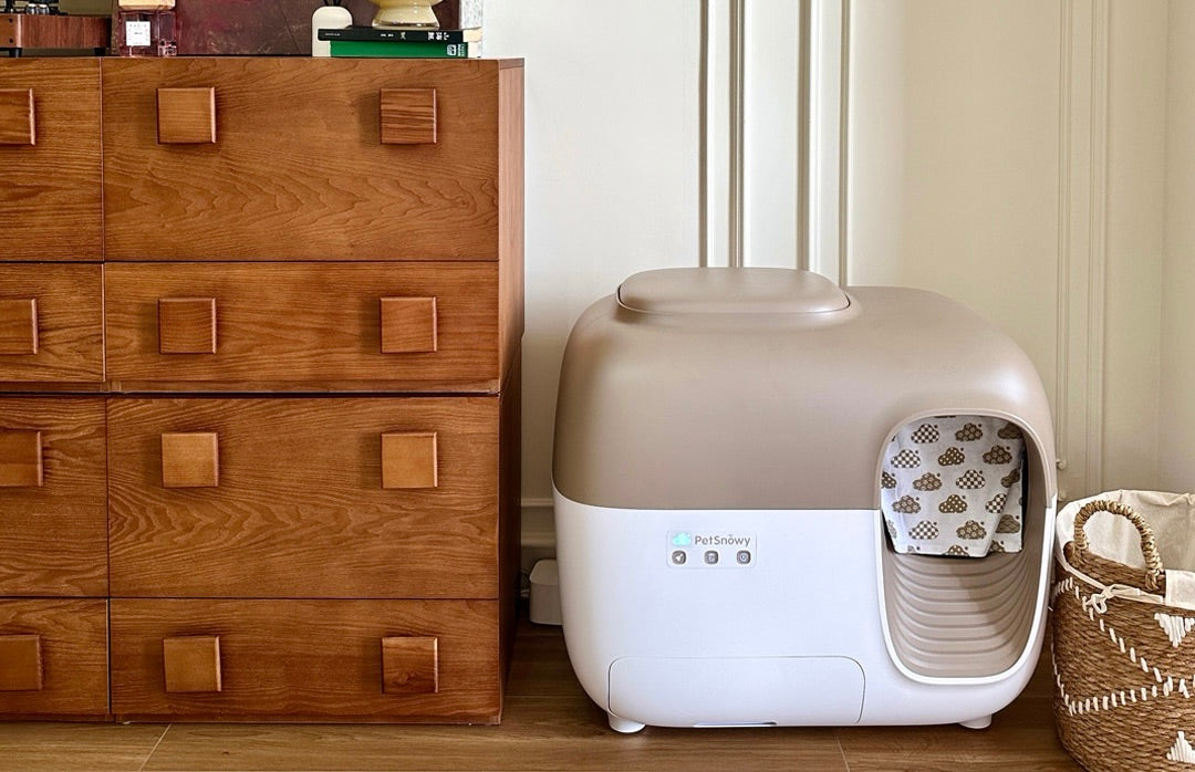 The 1+1 Rule: How Many Litter Boxes Do You Really Need for Two Cats?