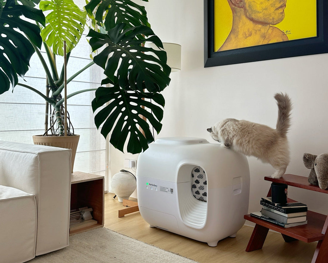 Cat litter box designed with odor control features to prevent unpleasant smells