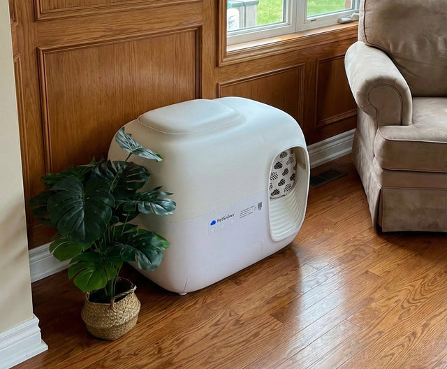 Automatic litter box with different cat litter types showing clumping, tofu, and mixed litter comparison