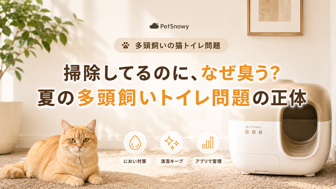 【多頭飼いに全自動猫トイレは必要？】夏のにおい対策と選び方
