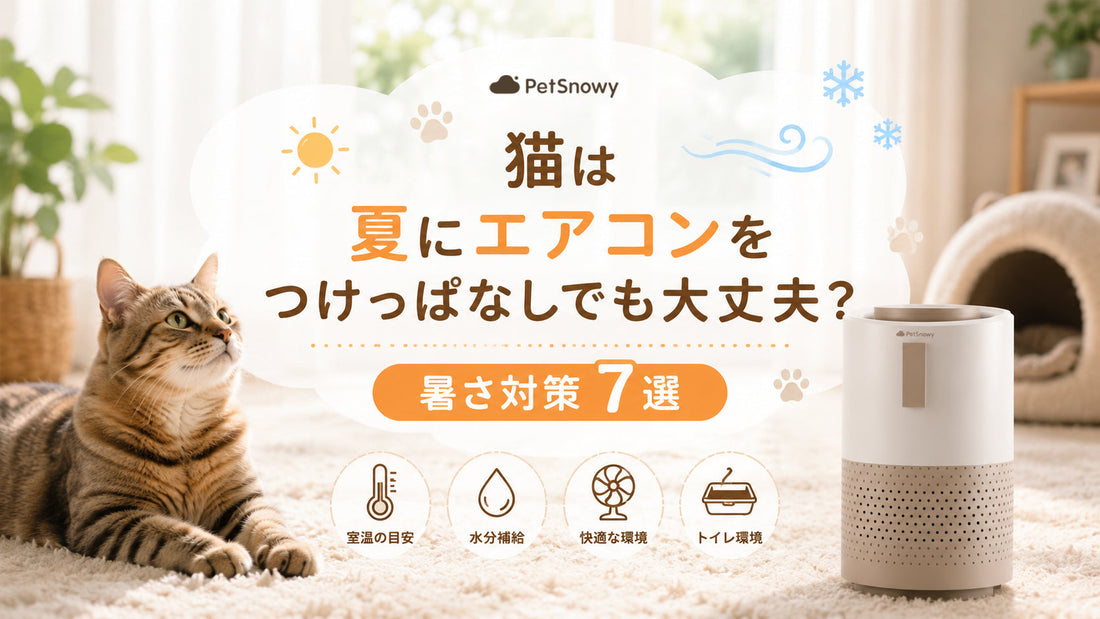 猫は夏にエアコンをつけっぱなしでも大丈夫？暑さ対策7選