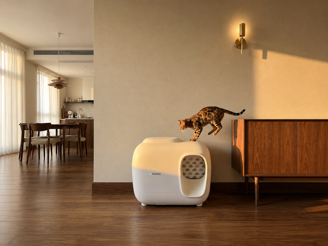 A Bengal cat jumping away from a litter box