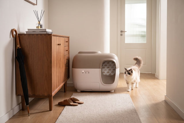 how much space does an automatic litter box need
