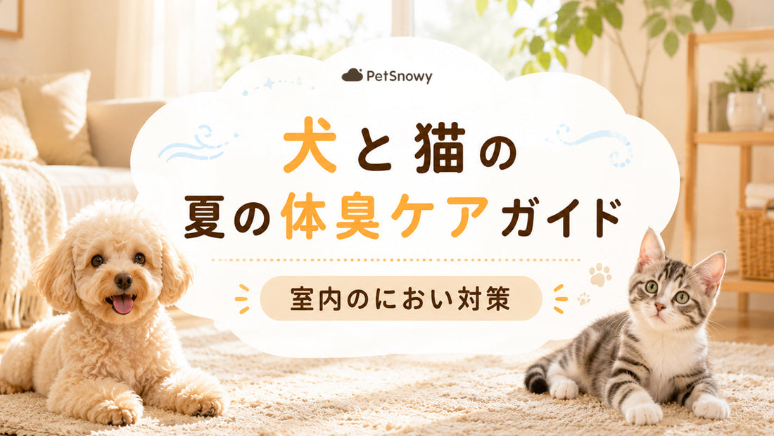 夏のペット臭対策｜犬と猫の体臭ケアと室内環境の整え方