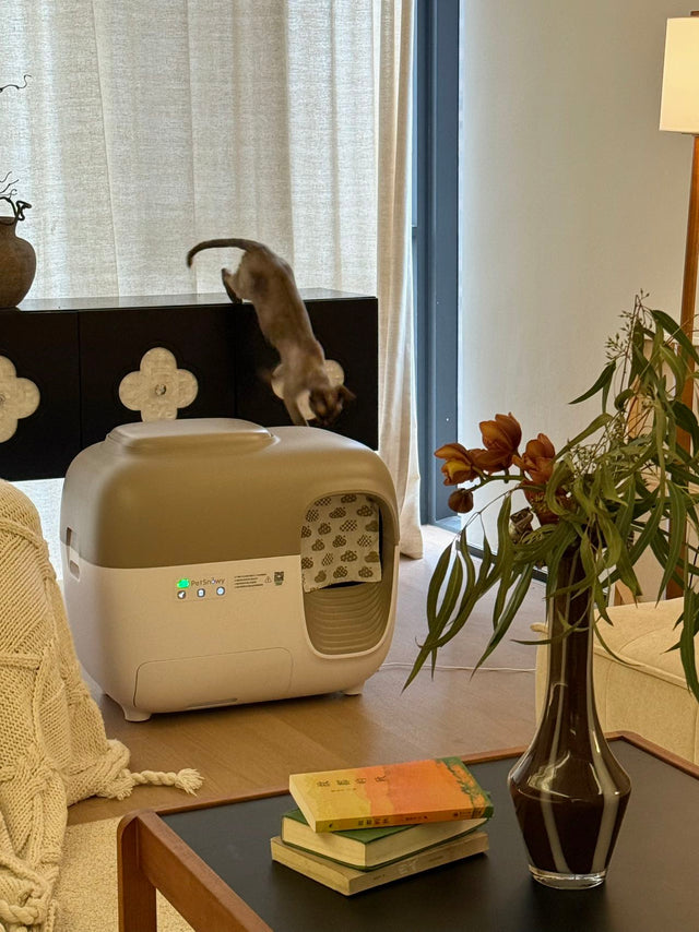 petsnowy SNOW+ automatic litter box with curved walkway to prevent tracking