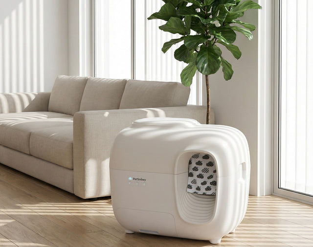 petsnowy litter box for senior cats