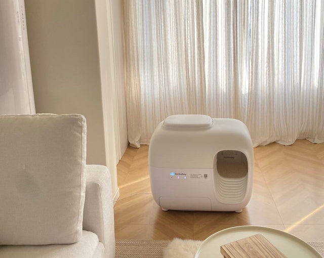 petsnowy litter box, perfect for 2 to 3 cats