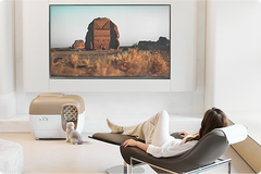 owner watching cat enter litter box