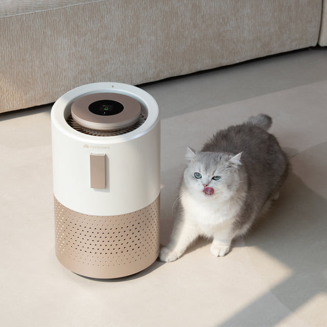 ps26-product-air-purifier-sm-1.3