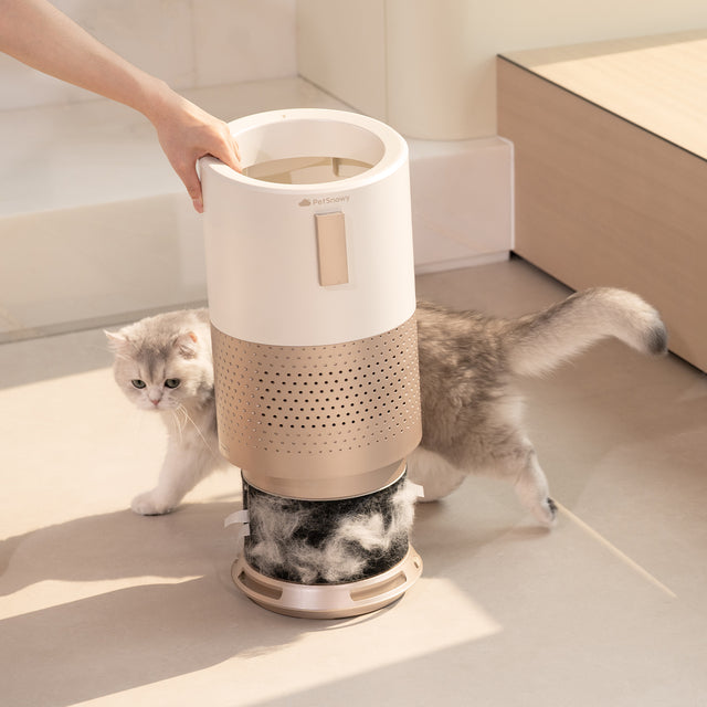 ps26-product-air-purifier-sm-1.4