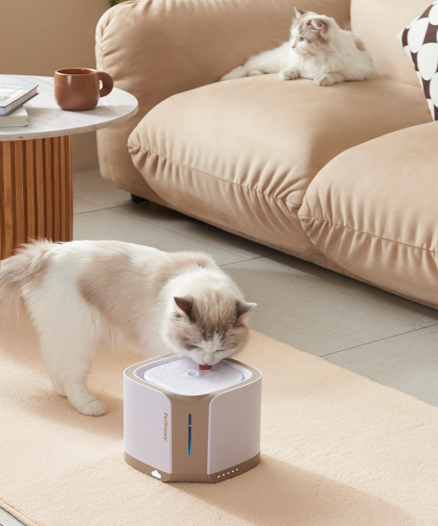 waterfountain-scene-2